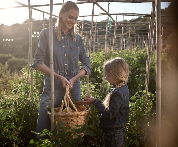 Eagles Resort Chalkidiki family in an organic farm