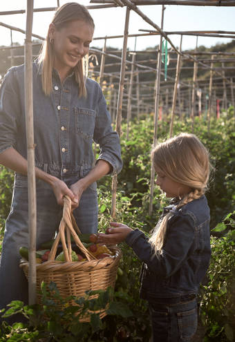 Eagles Resort Chalkidiki family in an organic farm