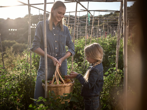 Eagles Resort Chalkidiki family in an organic farm