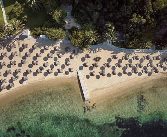 Eagles Resort Chalkidiki sandy beach with palm trees and sunbeds