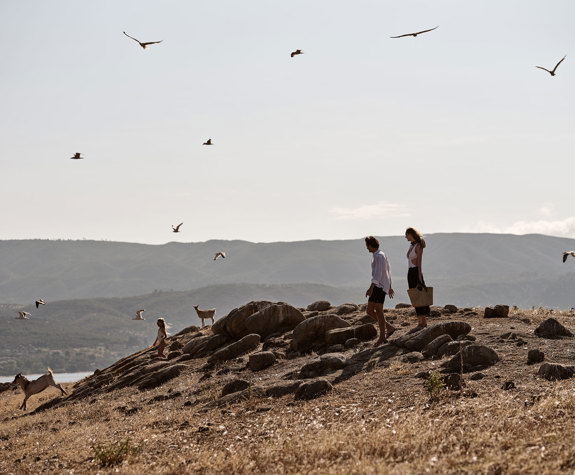Eagles Resort Chalkidiki Experiences Drenia 4