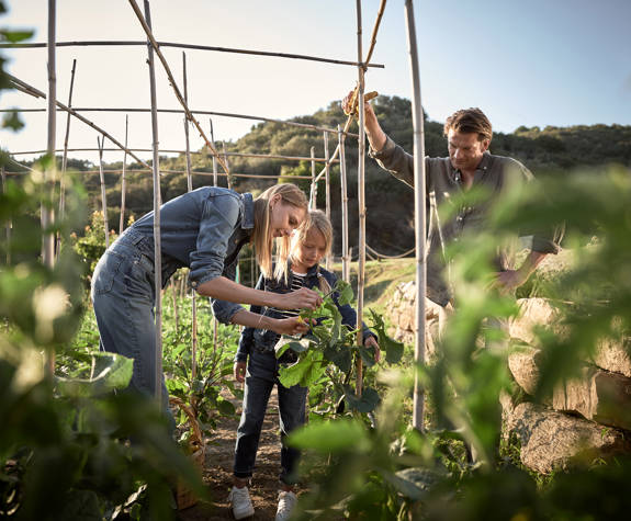 Eagles Resort Chalkidiki family in an organic farm