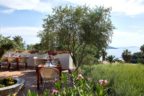 Eagles Resort Chalkidiki Eleonas Restaurant under the shade of the olive trees