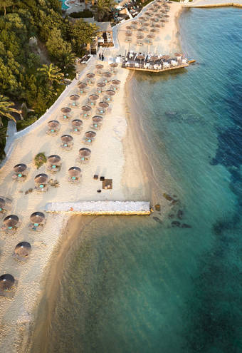Eagles Resort Chalkidiki amazing sandy beach with trees, sunbeds and umbrellas