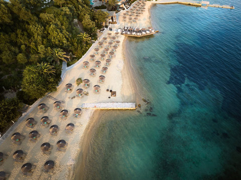 Eagles Resort Chalkidiki amazing sandy beach with trees, sunbeds and umbrellas