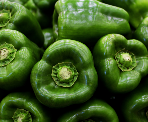 Close up to green bell peppers in organic farm at Eagles Resort