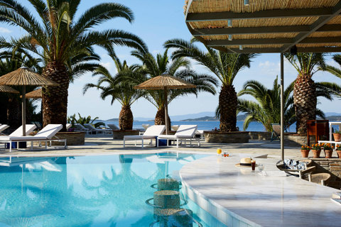 Eagles Resort Chalkidiki Pool Bar with palm trees and sea view