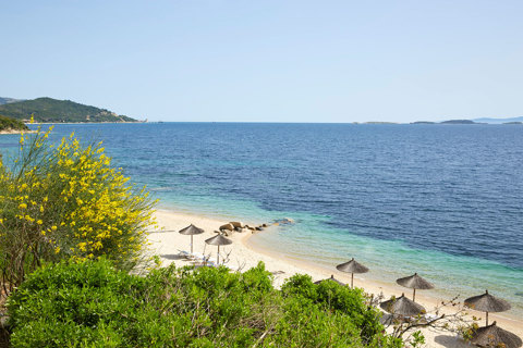Eagles Resort Chalkidiki sandy beach with trees and umbrellas