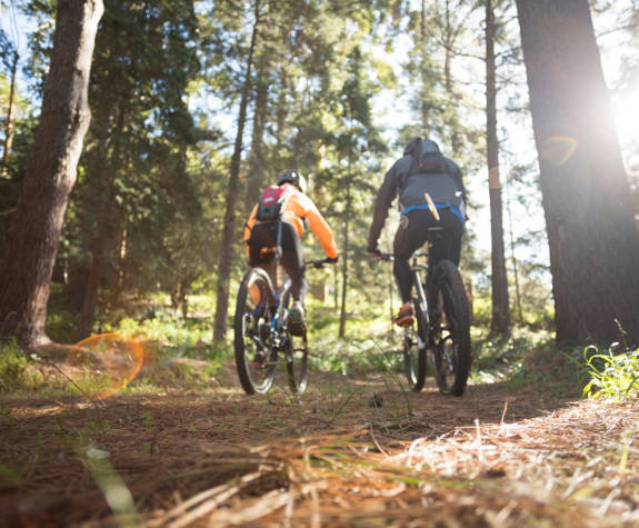 Two cyclists riding mountain bikes through a sunlit forest trail at Eagles Resort