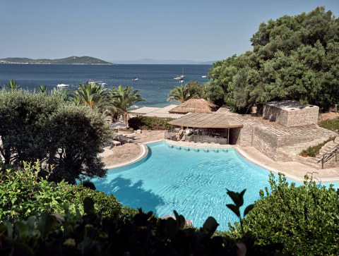 Eagles Resort Chalkidiki Swimming Pool with palm and olive trees, by the sea