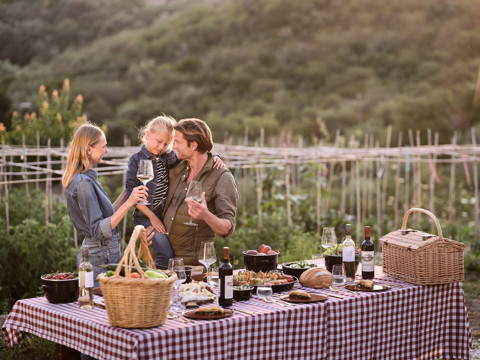 Eagles Resort Chalkidiki family in an organic farm