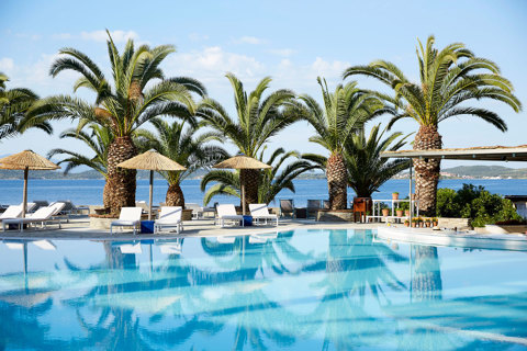Palm trees by the pool in Eagles Resort Chalkidiki