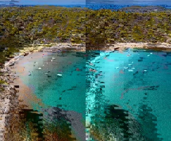 Diaporos boat cruise with multiple yachts anchored in a secluded bay surrounded by pine forest