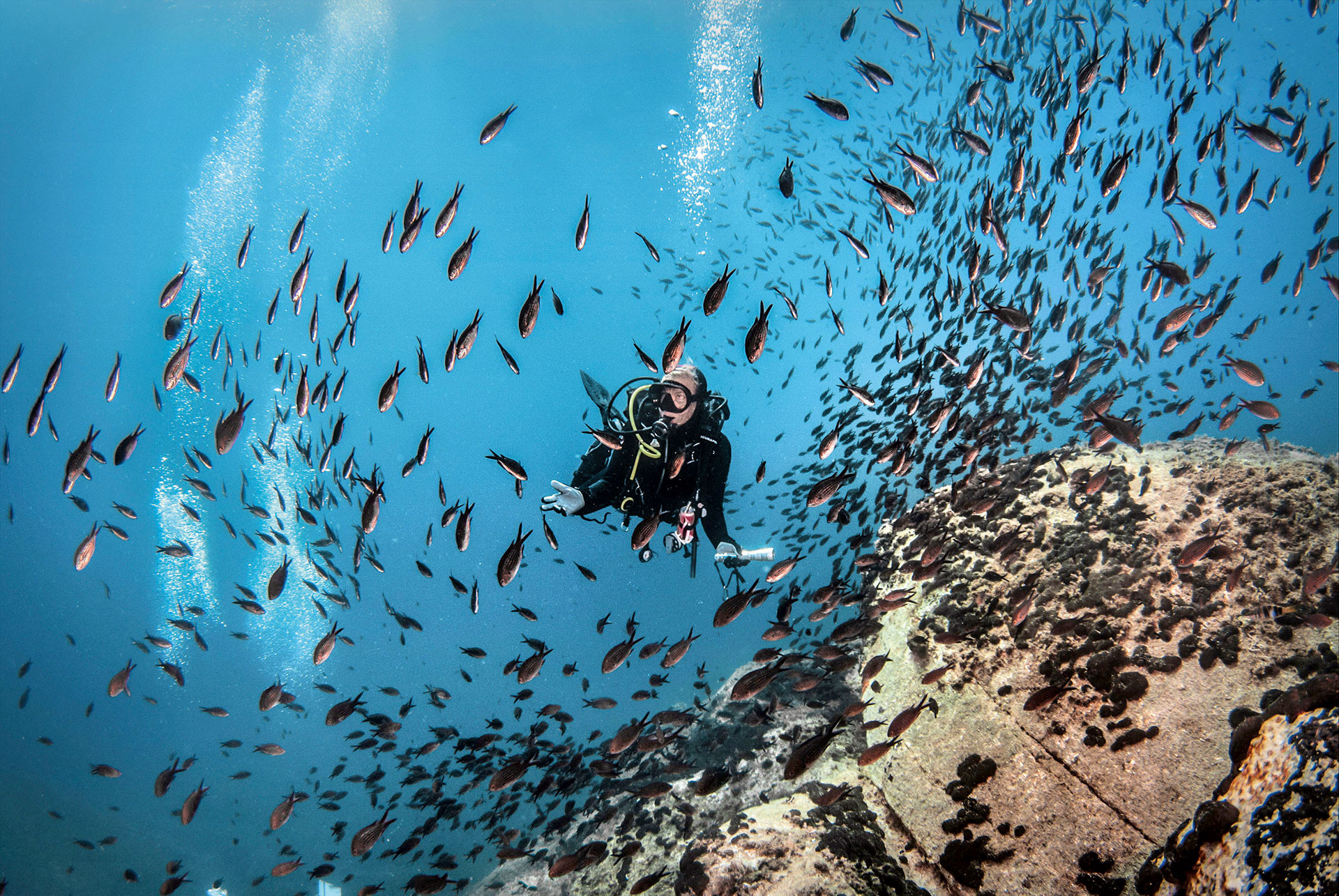 Scuba diver swimming through a fish school in deep waters at Eagles Resort