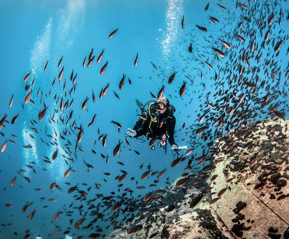 Eagles Resort Chalkidiki Water Sports Scuba Diving near fish