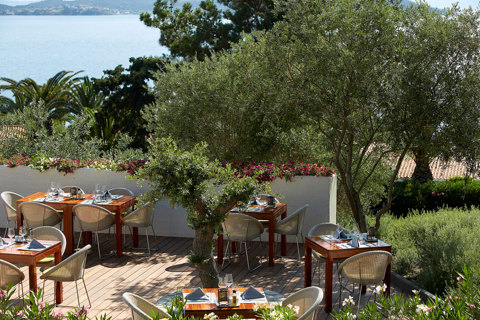 Eagles Resort Chalkidiki Eleonas Restaurant tables under the olive trees
