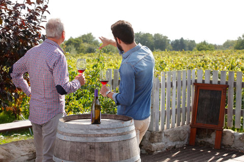 Eagles Resort chalkidiki men drinking wine in the vineyard