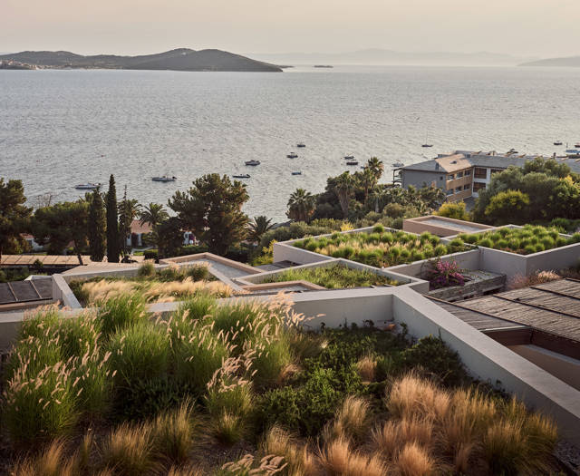 Eagles Villas Chalkidiki blue sky, sea and trees