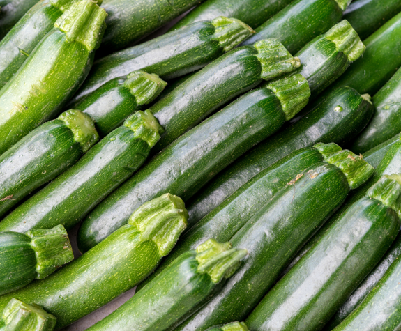 Zucchini of organic farm at Eagles Resort